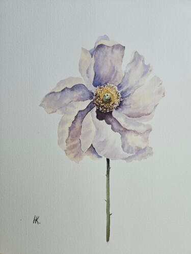 Painting titled "White poppy" by Natalia Kuznetsova, Original Artwork, Watercolor