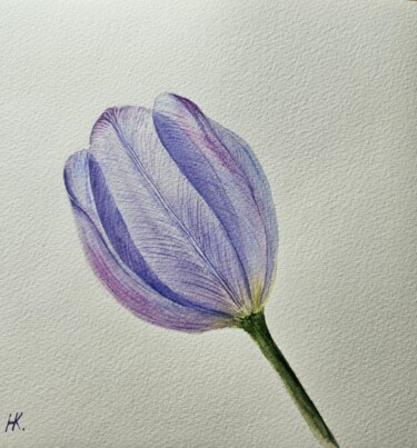 Peinture intitulée "Tulip. (Botanical i…" par Natalia Kuznetsova, Œuvre d'art originale, Aquarelle