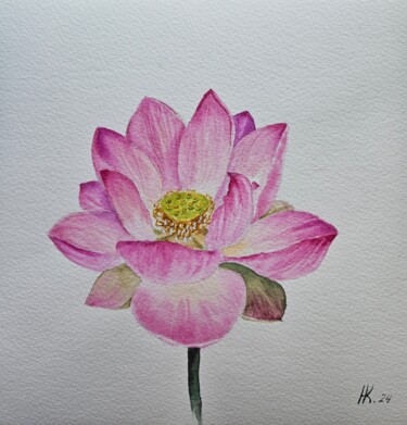Pintura titulada "Lotus" por Natalia Kuznetsova, Obra de arte original, Acuarela