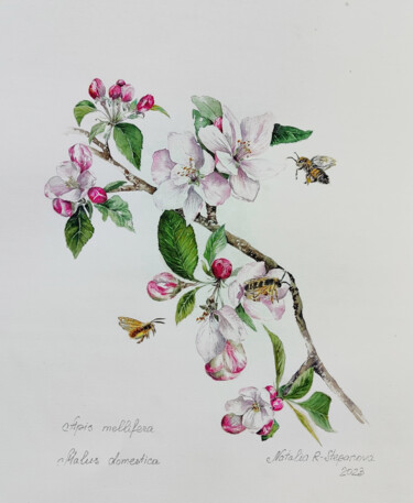 Schilderij getiteld "Apple tree and bees" door Natalia Romanovskaya-Stepanova, Origineel Kunstwerk, Aquarel