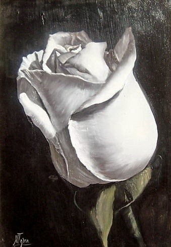 Pintura titulada "ROSA CLARO OSCURO" por Natalia Tejera, Obra de arte original