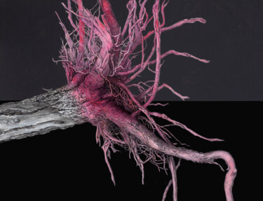 Ζωγραφική με τίτλο "Inflamed root" από Natalie Levkovska, Αυθεντικά έργα τέχνης, Λάδι