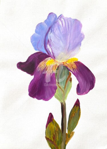Painting titled "Iris flower on whit…" by Nataliia Krykun, Original Artwork, Acrylic