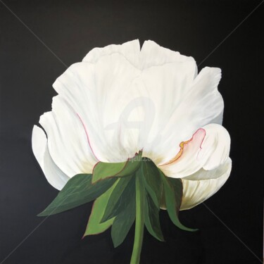 Peinture intitulée "White peony on blac…" par Nataliia Krykun, Œuvre d'art originale, Acrylique Monté sur Châssis en bois