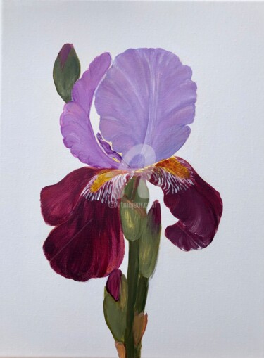 Painting titled "Iris flower on a wh…" by Nataliia Krykun, Original Artwork, Acrylic Mounted on Wood Stretcher frame