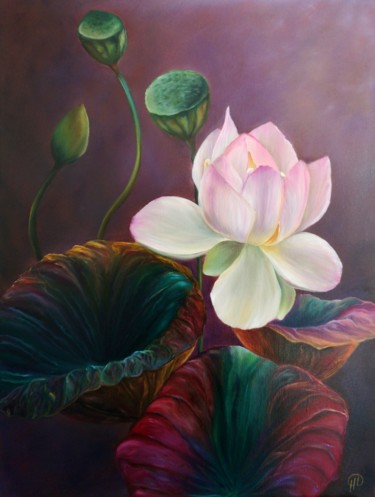 Painting titled "Lotus Magic" by Natalie Demina, Original Artwork, Oil Mounted on Wood Stretcher frame