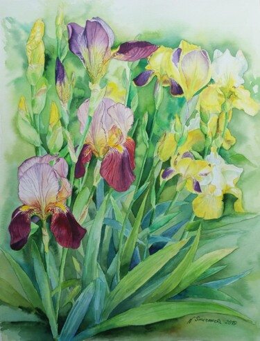Pittura intitolato "Iris del mio giardi…" da Natalya Smirnova, Opera d'arte originale, Acquarello