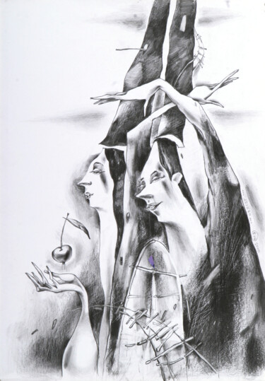 Tekening getiteld "Apple Tree" door Natasha Ermolaeva, Origineel Kunstwerk, Grafiet