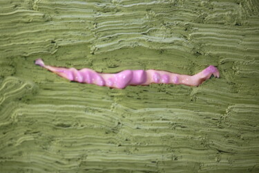 Sculptuur getiteld ""Worm" resin Pink.P…" door Natasha Korets, Origineel Kunstwerk, Plastic Gemonteerd op Karton