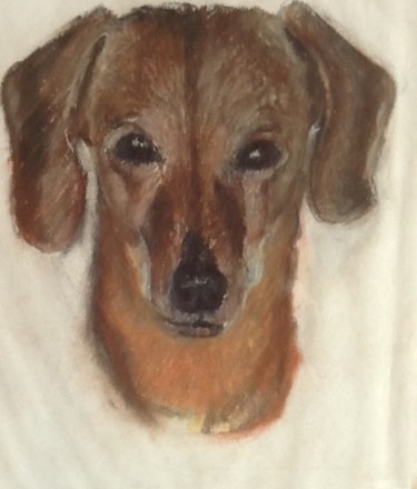 Painting titled "portrait de chien" by Nathalie De Courrèges, Original Artwork, Pastel
