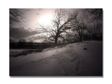 Photography titled "Winter_tree.jpg" by Nathan Gagner, Original Artwork