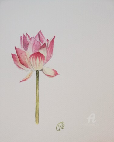 Peinture intitulée "Lotus I" par Nathalie Bernad, Œuvre d'art originale, Aquarelle