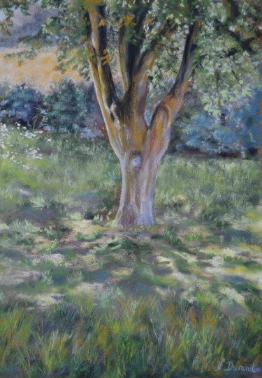 Schilderij getiteld "Au pied de mon arbre" door Nathalie Durand (Ndpastelart), Origineel Kunstwerk, Pastel