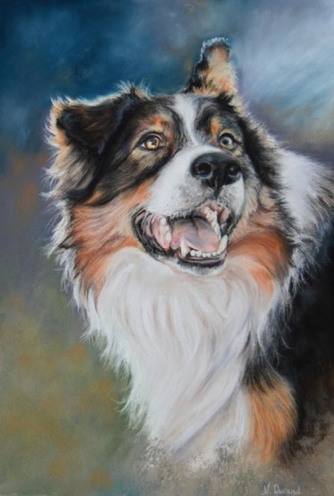 Portrait animalier Peinture intitulée "Portrait animalier" par Nathalie Durand (Ndpastelart), Œuvre d'art originale, Pastel