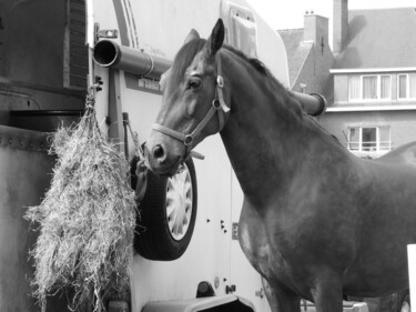 Fotografie mit dem Titel "le cheval" von Nathy ... (Nathy), Original-Kunstwerk, Manipulierte Fotografie