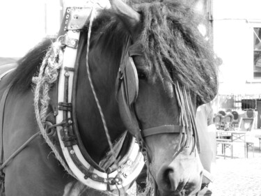 Photographie intitulée "le cheval de trait" par Nathy ... (Nathy), Œuvre d'art originale, Photographie numérique
