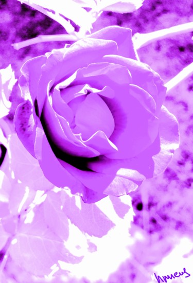 Photography titled "Violet" by Nathalie Miens, Original Artwork, Manipulated Photography
