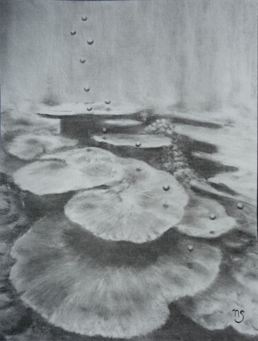 Рисунок под названием "Bulles de corail" - Nathalie Setea, Подлинное произведение искусства, Древесный уголь