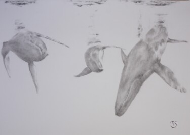 Zeichnungen mit dem Titel "Trois baleines" von Nathalie Setea, Original-Kunstwerk, Kohle