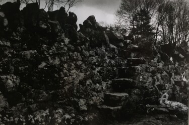 Φωτογραφία με τίτλο "Cork countryside 3" από Nathalie Simon, Αυθεντικά έργα τέχνης, Φωτογραφική ταινία Τοποθετήθηκε στο Χαρτ…