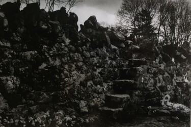 Photography titled "Cork countryside 3" by Nathalie Simon, Original Artwork, Analog photography Mounted on Cardboard