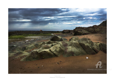 Fotografia zatytułowany „Couleurs en force” autorstwa Nathalie Simon, Oryginalna praca, Fotografia cyfrowa