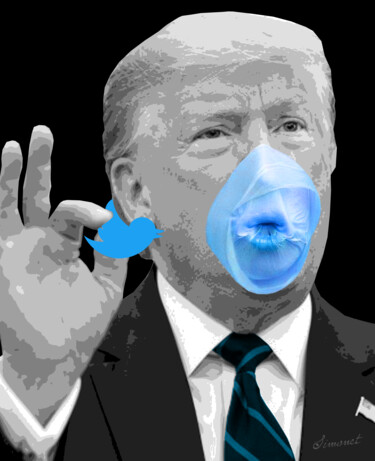 Digital Arts με τίτλο "Donald TRUMP et Twi…" από Nathalie Simonet, Αυθεντικά έργα τέχνης, Φωτογραφία Μοντάζ