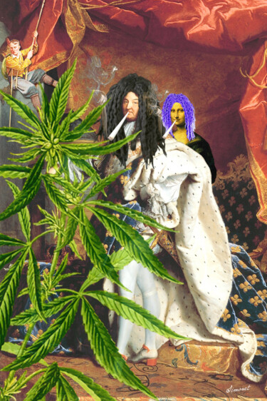 Digitale Kunst mit dem Titel "Louis XIV et ses pl…" von Nathalie Simonet, Original-Kunstwerk, Fotomontage