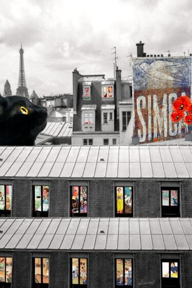 Arte digitale intitolato "Chat noir sur les t…" da Nathalie Simonet, Opera d'arte originale, Fotomontaggio
