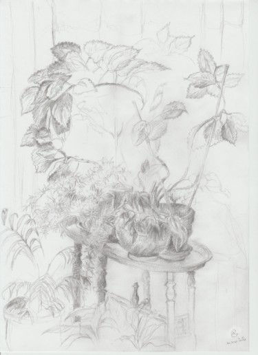 Drawing titled "Intérieur et plantes" by Nathalie Gautier, Original Artwork, Pencil