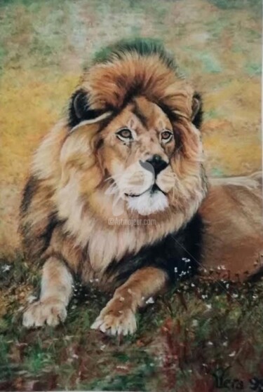 Dessin intitulée "Nathaly vera. Lion" par Nathaly Vera, Œuvre d'art originale, Pastel