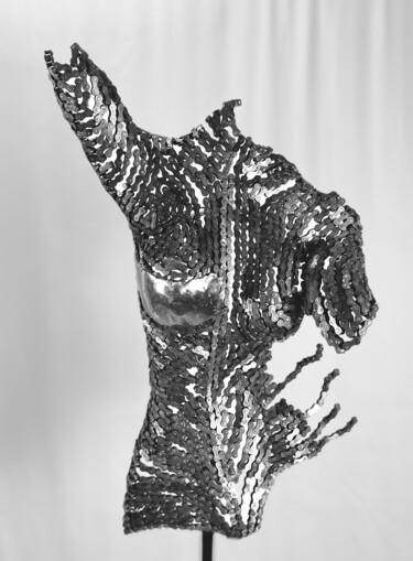 Sculptuur getiteld "The Cascade of Sera…" door Nathan Goodman, Origineel Kunstwerk, Metalen