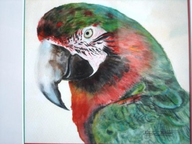 Peinture intitulée "Grand perroquet" par Nathalie Eboto Olivier, Œuvre d'art originale