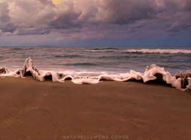 Photographie intitulée "Dentelle de mer" par Naturellement Corse, Œuvre d'art originale, Photographie numérique