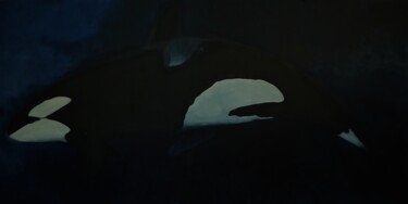 Ζωγραφική με τίτλο "Killer whale" από Nazar Bochkor, Αυθεντικά έργα τέχνης, Λάδι
