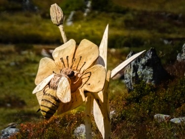 Fotografia zatytułowany „Bee...” autorstwa Noel Crosetti, Oryginalna praca