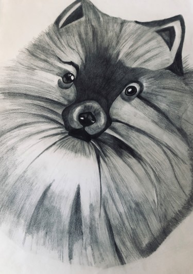 Guily Dessin intitulée "Guily" par Clara.C, Œuvre d'art originale, Crayon