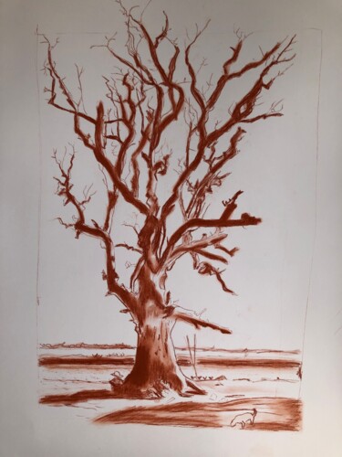 Картина под названием "Arbre mort" - Nedja, Подлинное произведение искусства, Древесный уголь