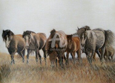 Malarstwo zatytułowany „Wild horses” autorstwa Nedzad Jandric, Oryginalna praca, Pastel