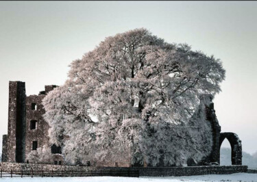 Фотография под названием "Tree" - Neier, Подлинное произведение искусства, Цифровая фотография
