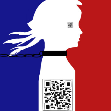 数字艺术 标题为“France soumise” 由Neige Massa, 原创艺术品, 2D数字工作