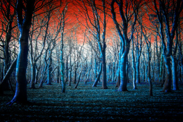 Photography titled "The Blue Forest" by Neil Hemsley, Original Artwork, Manipulated Photography