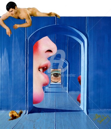 Collages intitolato "La curiosité est..." da Nelly Sanchez, Opera d'arte originale, Collages