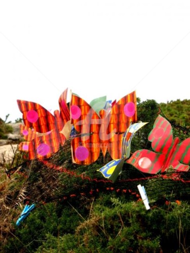 Installation intitulée "L'envol des papillo…" par Nelly Kryn, Œuvre d'art originale