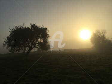 Photographie intitulée "petit matin" par Nelly Coudoux, Œuvre d'art originale