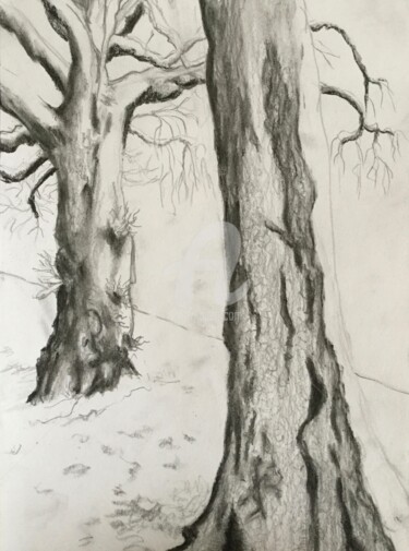 Drawing titled "neige" by Nelly Coudoux, Original Artwork, Charcoal