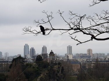 Φωτογραφία με τίτλο "Sur la branche" από Nelly Coudoux, Αυθεντικά έργα τέχνης, Φωτογραφική ταινία