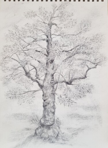 Rysunek zatytułowany „VERS LE CIEL” autorstwa Nelly Coudoux, Oryginalna praca, Węgiel drzewny