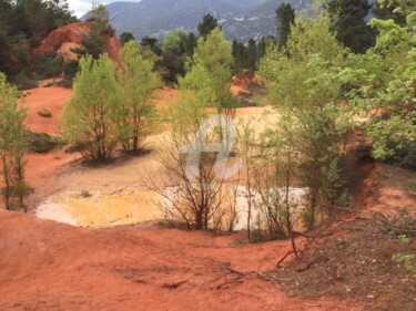 Fotografía titulada "Pigment" por Nelly Coudoux, Obra de arte original