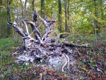 Photographie intitulée "sculpture naturelle" par Nelly Coudoux, Œuvre d'art originale